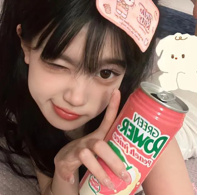宠物粉红鹅卵石
