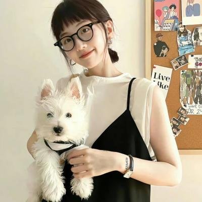 糟糕咨询